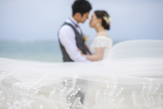 ベールに魅せられて