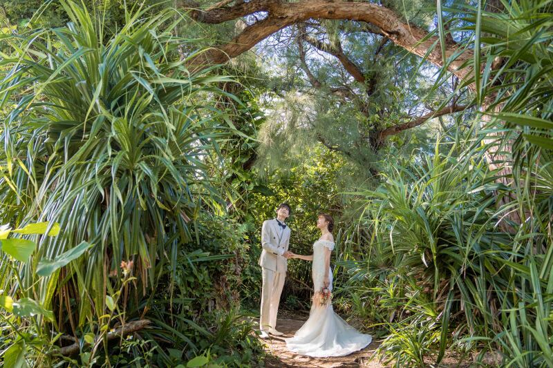 グリーンスポット＊