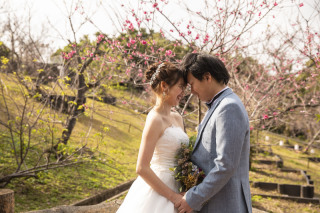 ☆南国パラダイス＆桜フォト☆