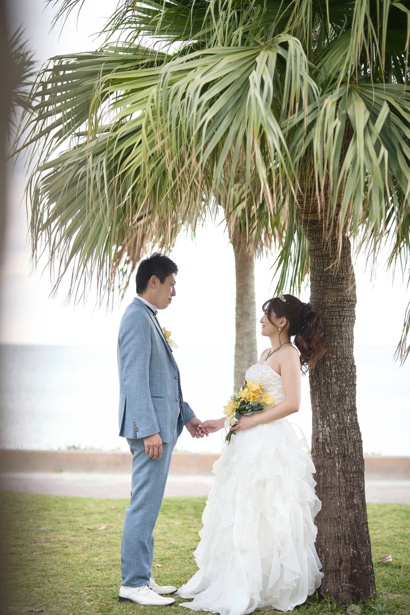 ヤシの木の下で