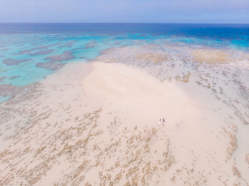 ドローン撮影！