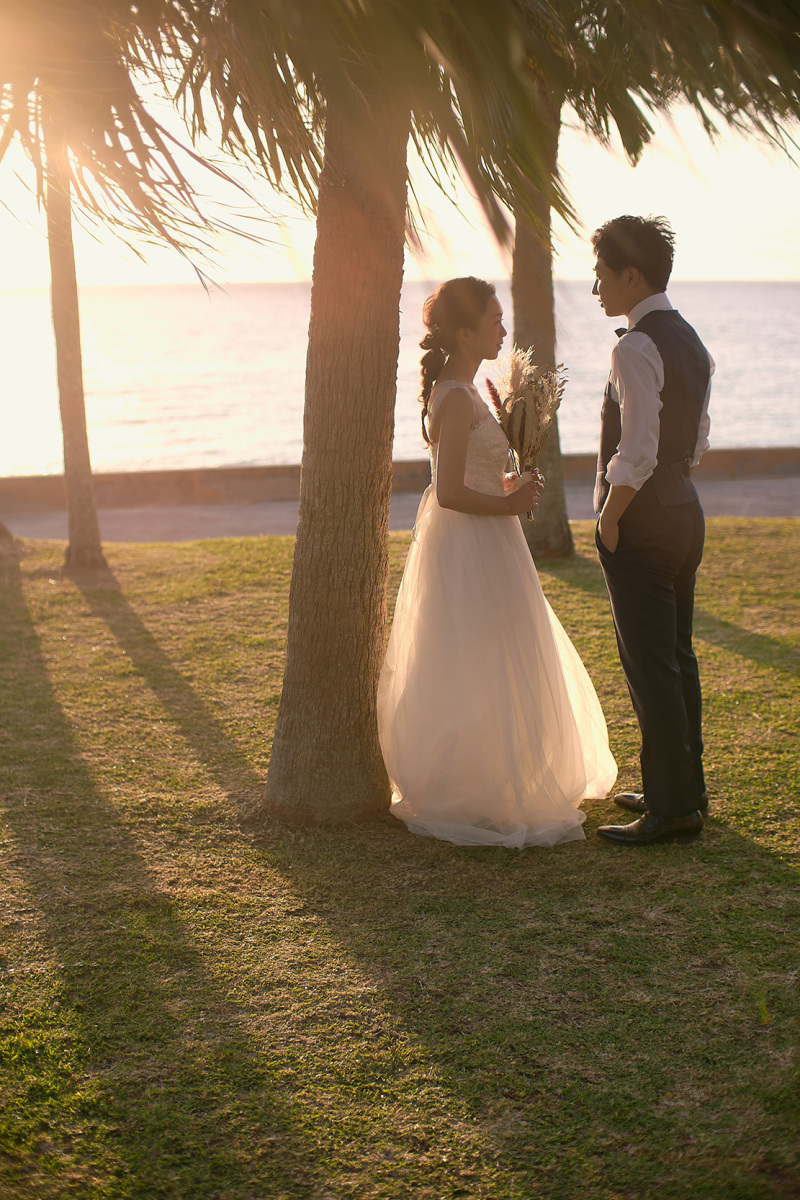 サンセットと南国植物＊