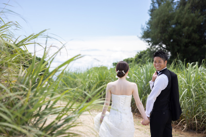 サトウキビの道