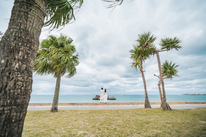 碧と緑に包まれて♪♪