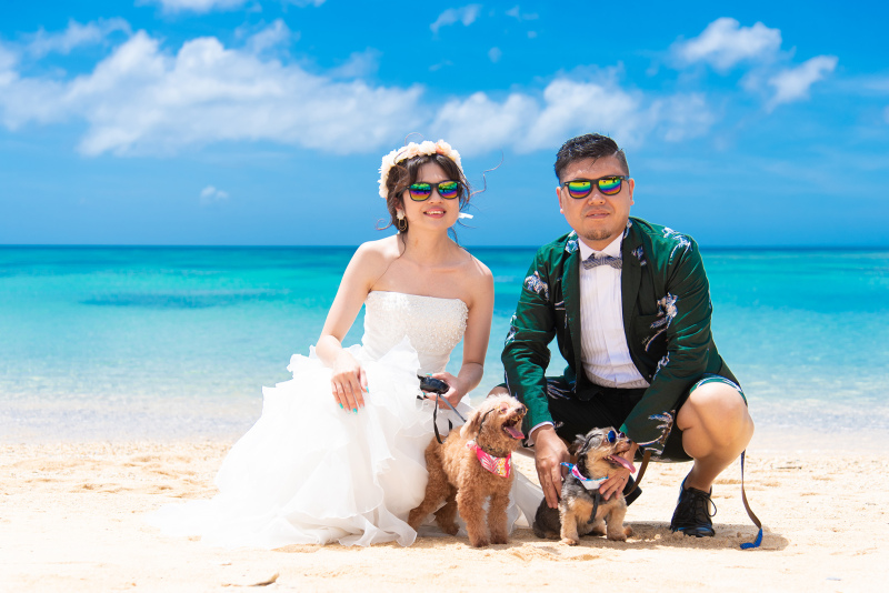 楽しいワンカット♩