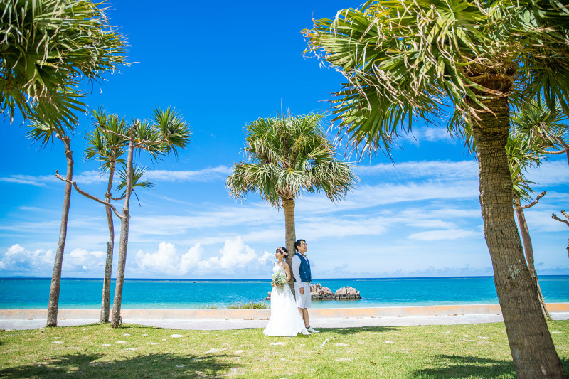 ヤシの木に囲まれたグリーンフォト＊