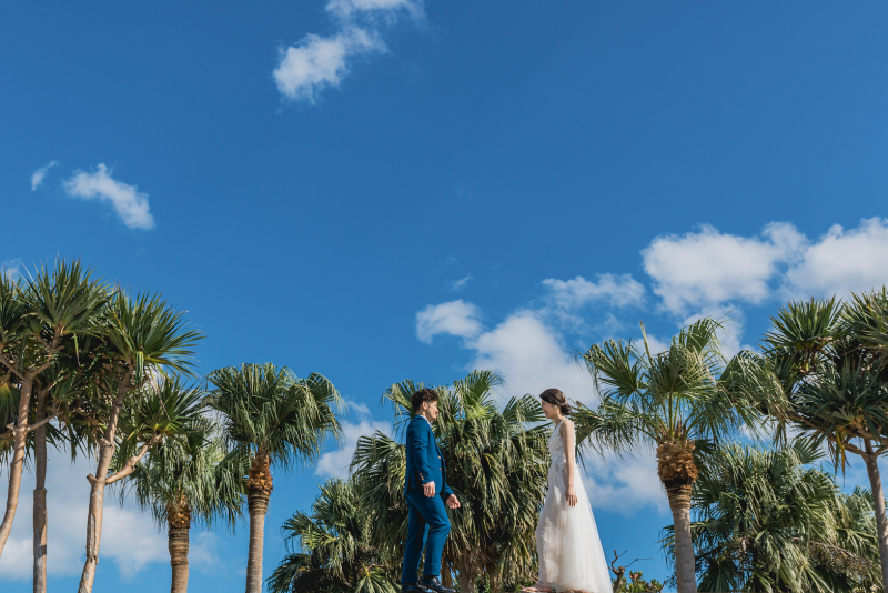 ラストは青空とヤシの木で1枚