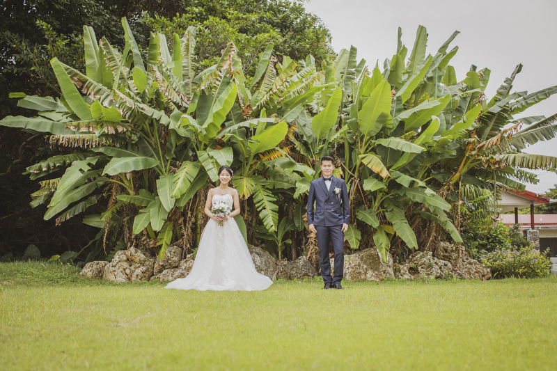 *グリーンフォト*