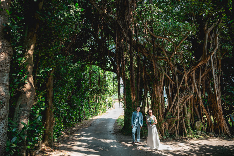 木の下でくつろぎながら