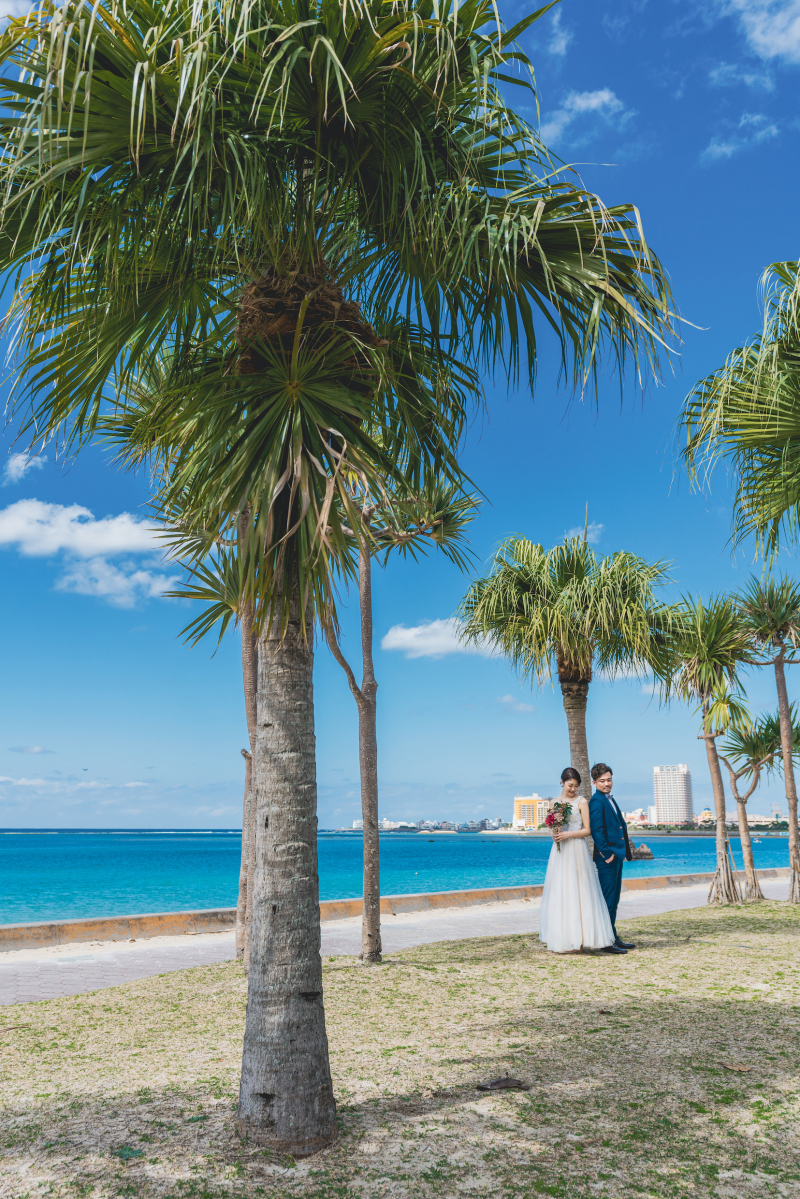 ヤシの木に包まれて^ ^