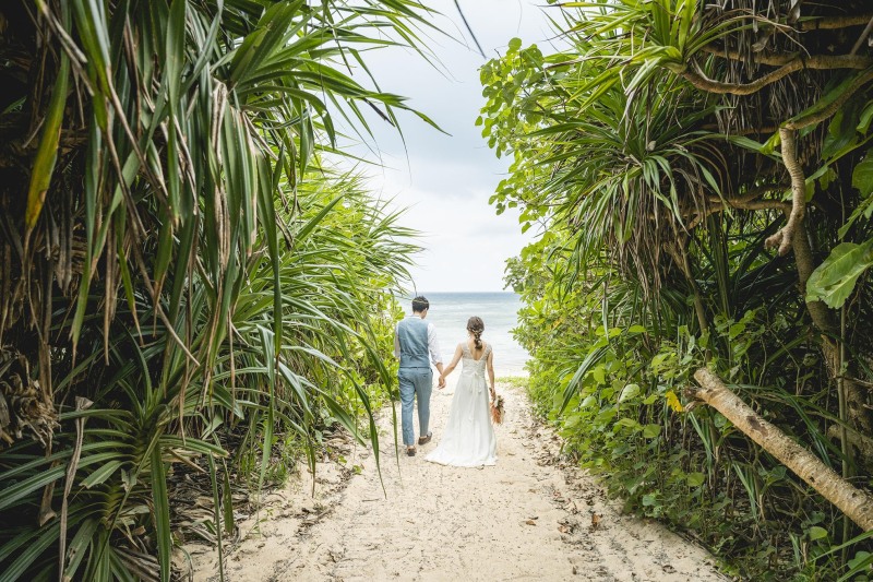 海に続くグリーンの道