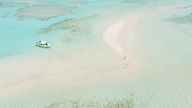 空からおふたりを