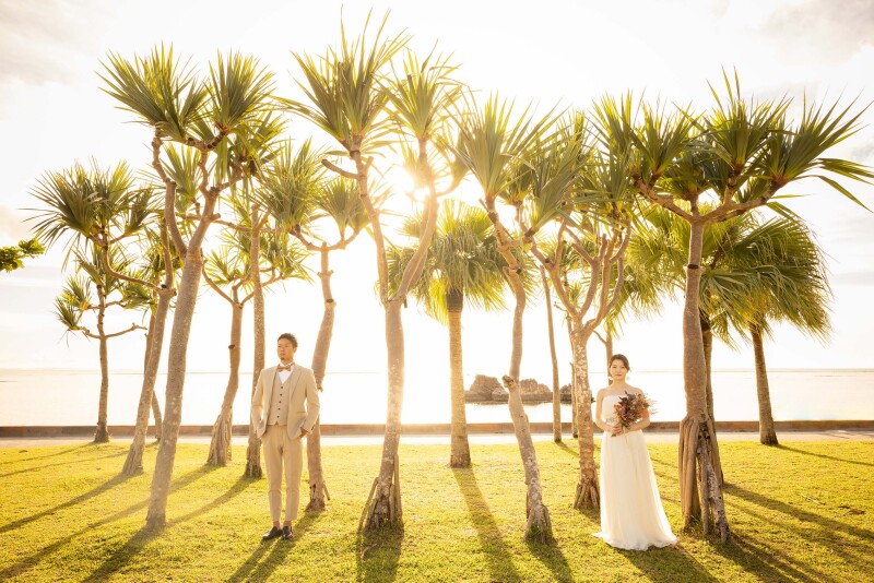 夕日をバックに