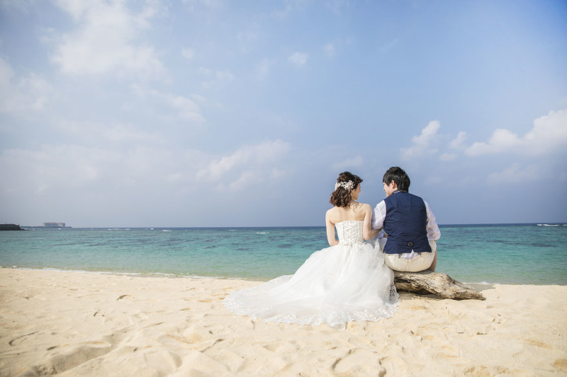 自然の流木と共に