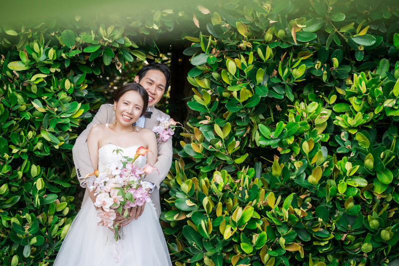 フクギに囲まれて…