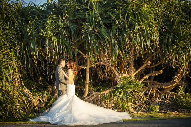 夕日に照らされて・・