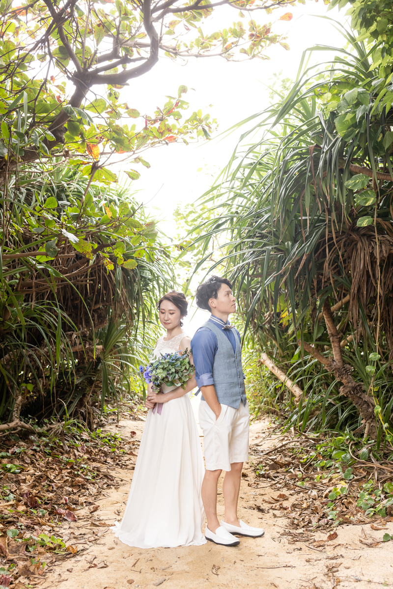 木漏れ日に照らされて