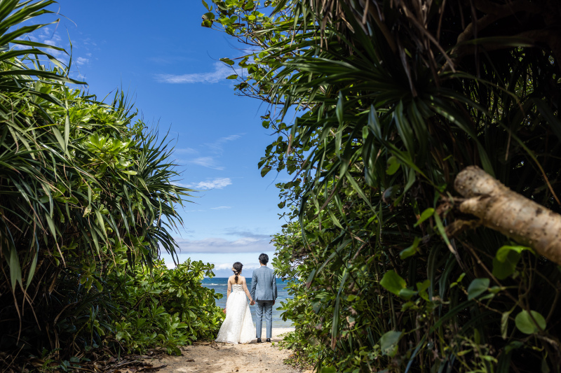 緑の道を抜けると