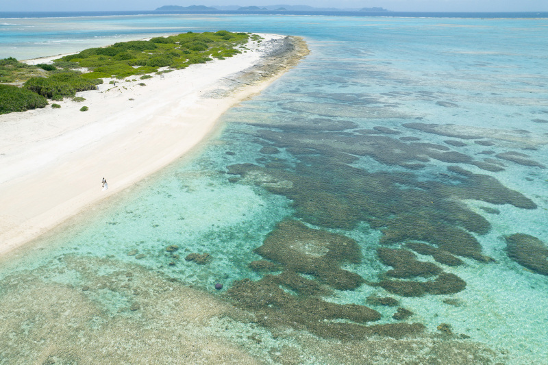 ドローンの迫力！！