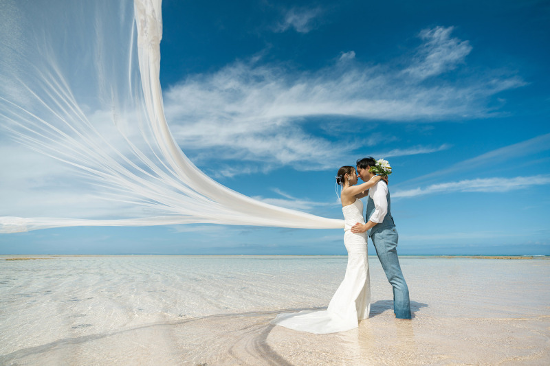 ＊ロングベール＊