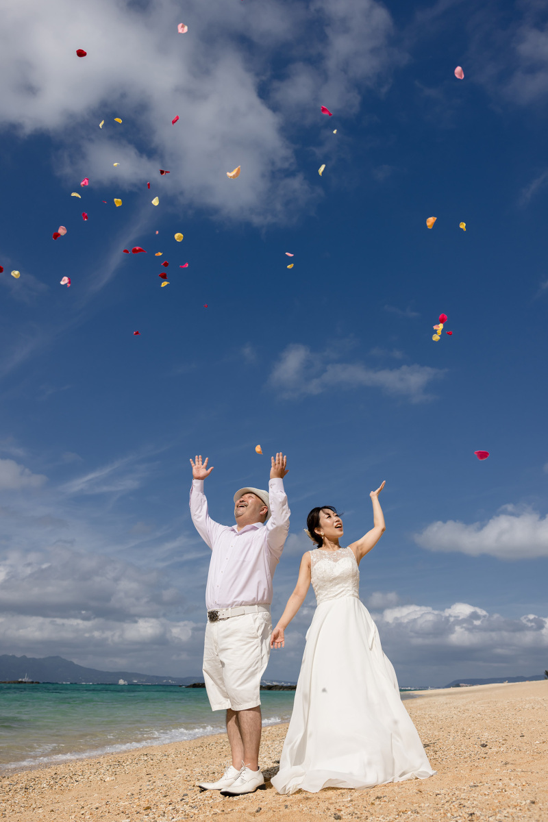 空に舞う花びら*