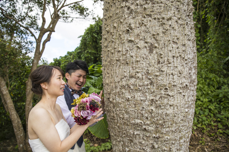 むむっ！！不思議な木を発見！！☆
