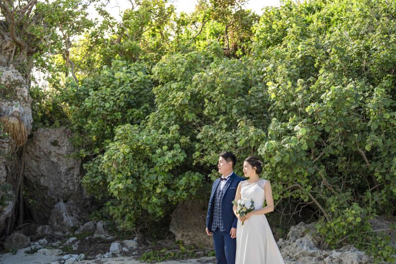 グリーンバック＊