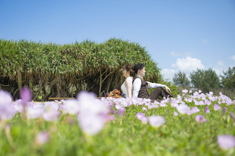 ヒルザキツキミソウ