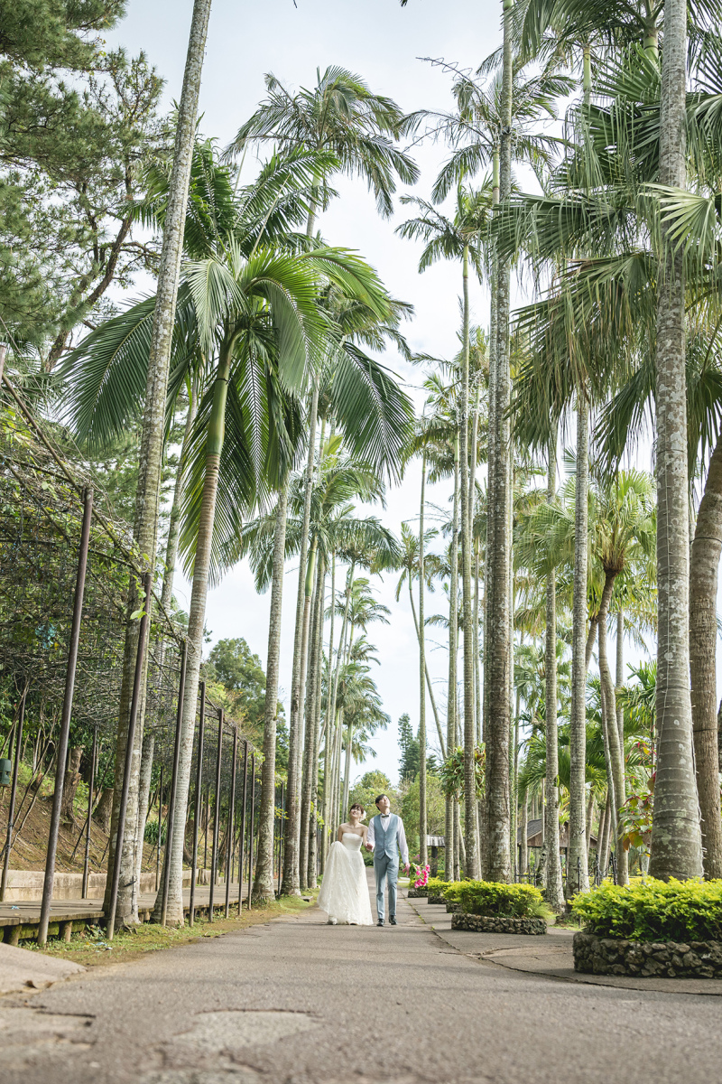 最後は、ユスラヤシの並木通りで！