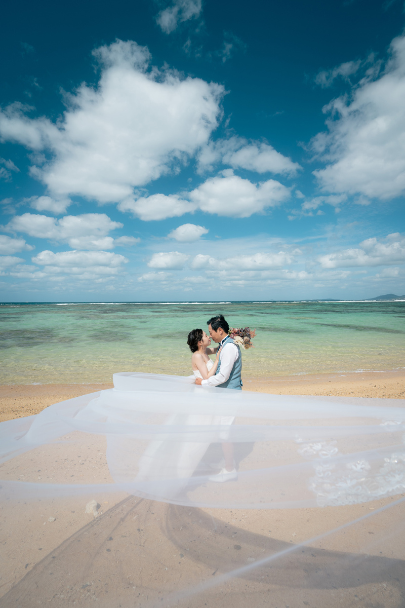 こんなお写真も