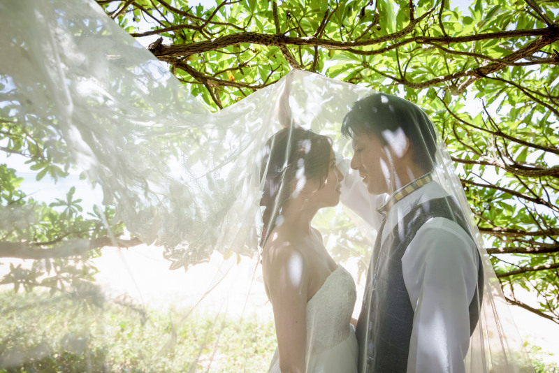 ベールに包まれて