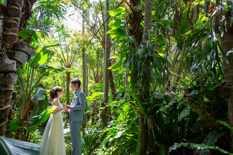 神秘的な緑の世界