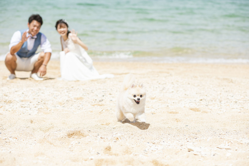 待ってました♡おふたりと愛犬♡