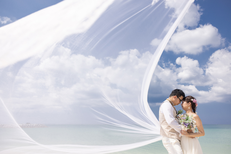 飾りたくなる1枚