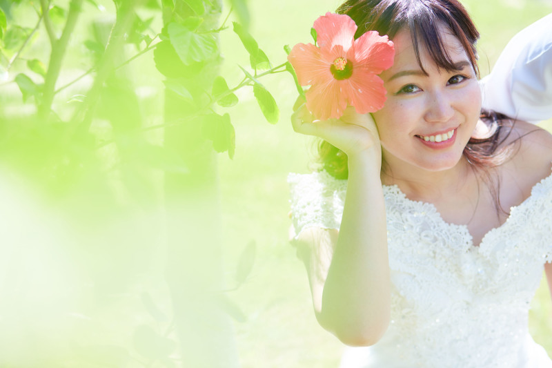 南国ハイビスカス*