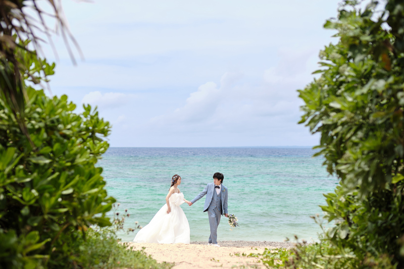 チラリと覗くお二人のお散歩