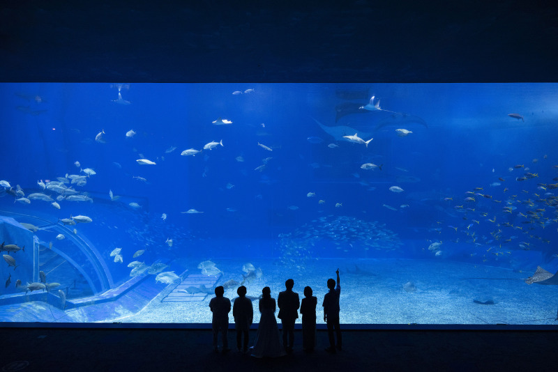 美ら海水族館