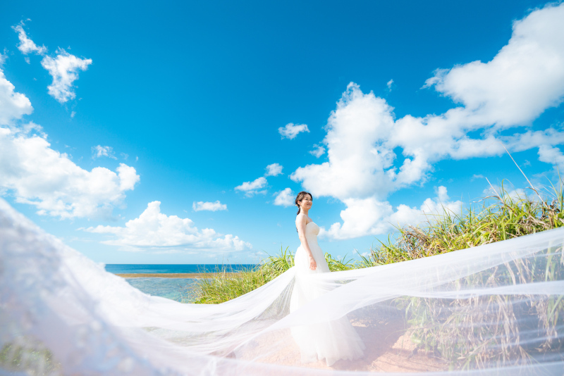 ロングベールを使用して*