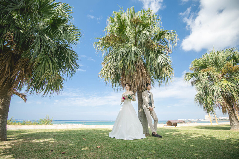 まずはグリーンスポット*