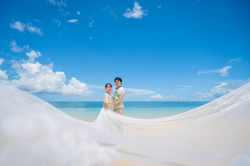 ＊ロングベール①＊