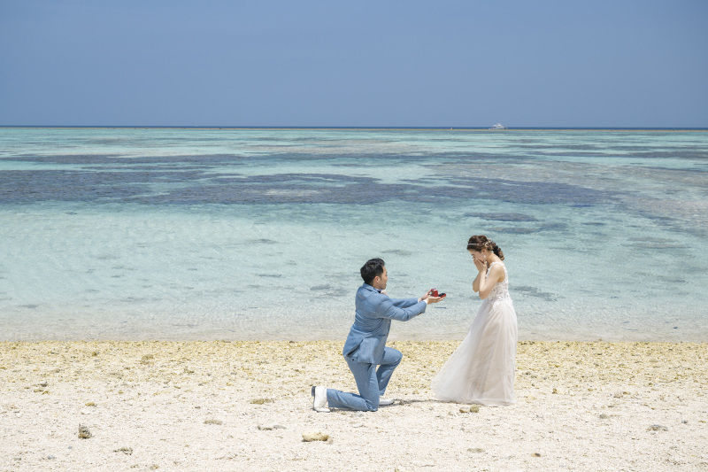 プロポーズ大作戦*