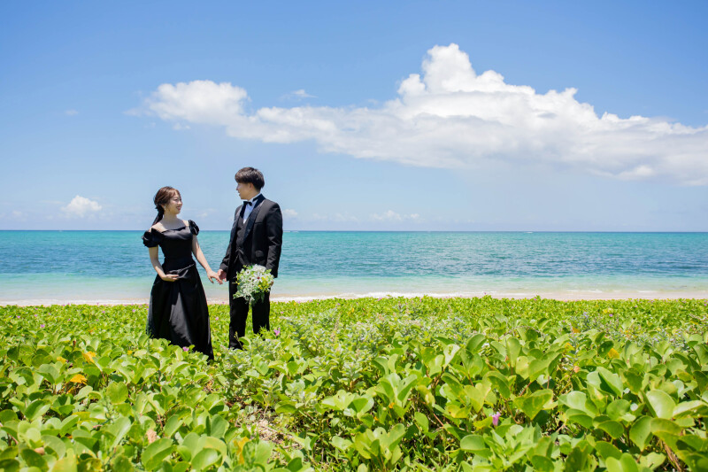 グリーンスポット＊