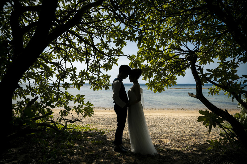 シルエットショット