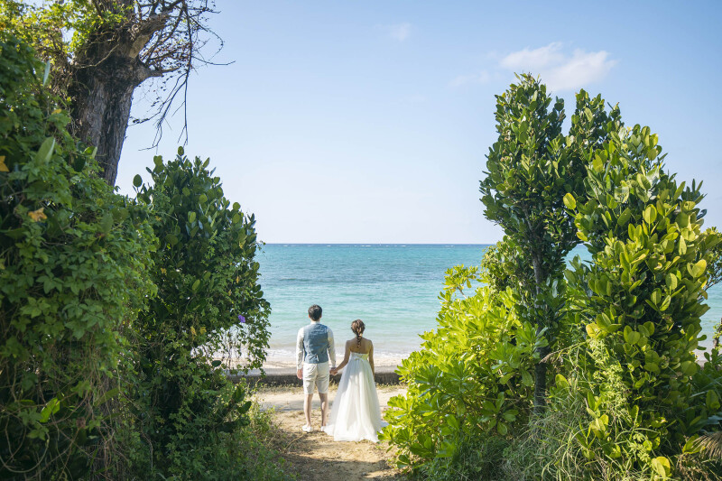 緑の木々から見える海