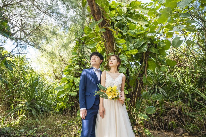 ザネー浜のジャングル地帯＊