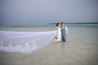 雨の日ならでは〈アメイジング撮影〉