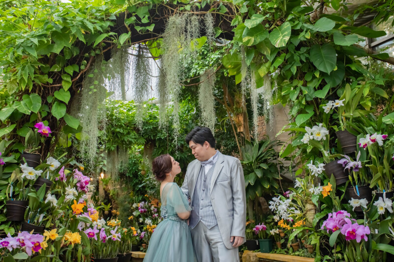 グリーンのアーチ◎