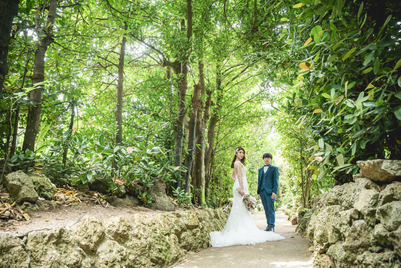 1箇所目は緑あふれるフクギ並木から＊