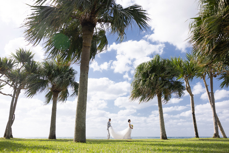 沖縄のグリーン