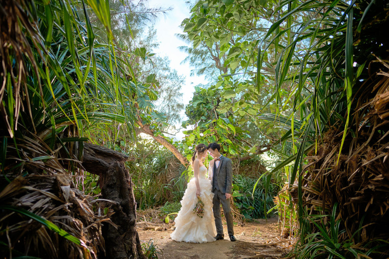 ダイナミックな緑でも撮影♪